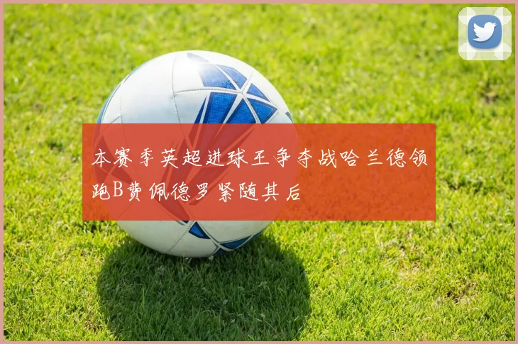 本赛季英超进球王争夺战哈兰德领跑B费佩德罗紧随其后