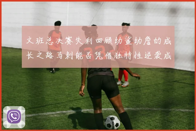 文班总决赛失利回顾幼鲨幼詹的成长之路马刺能否凭借独特性逆袭成功